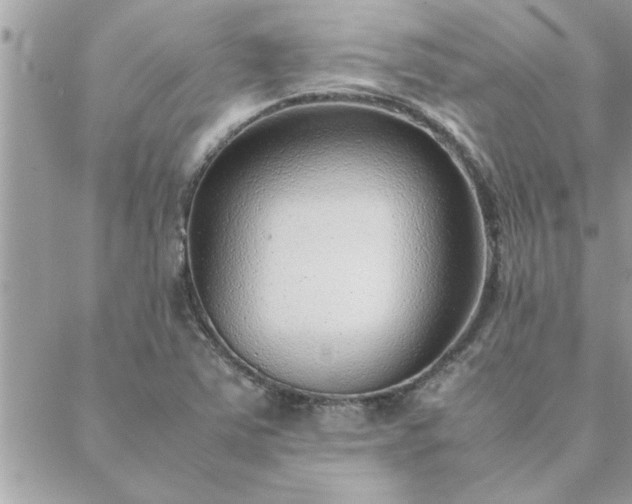 X0000088581363200706011102