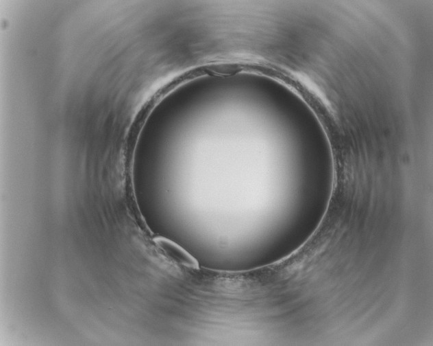 X0000088581364200706011102