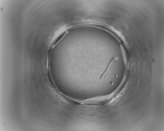 X0000088581365200706011102