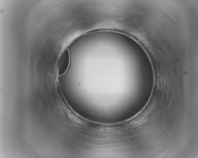 X0000088581366200706011102