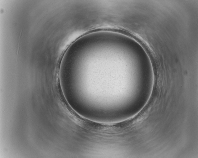 X0000088581367200706011102