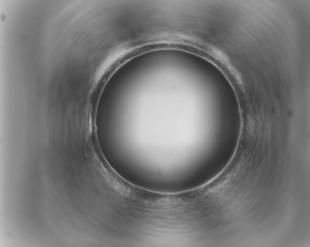 X0000088581368200706011102