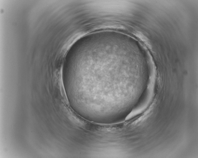 X0000088581369200706011102