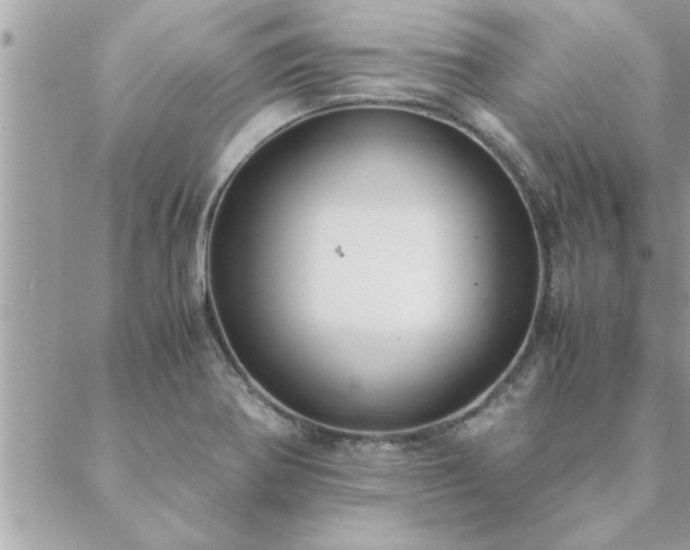 X0000088581370200706011102