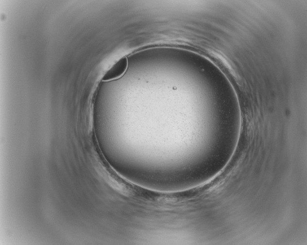 X0000088581371200706011102