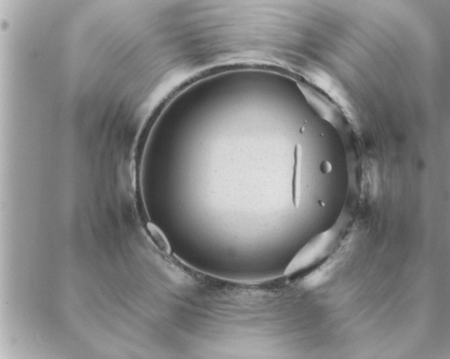 X0000088581372200706011102