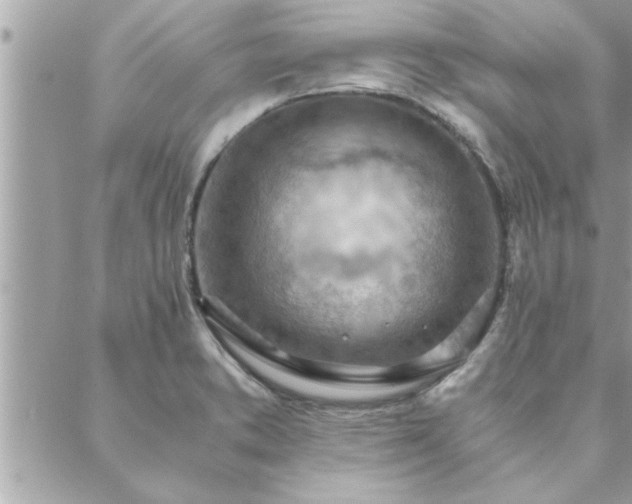 X0000088581373200706011102