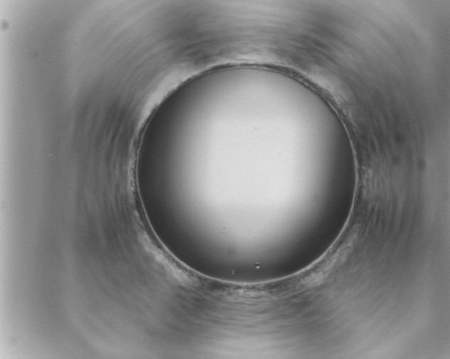 X0000088581374200706011102