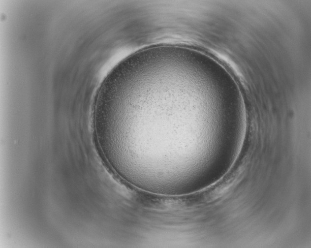 X0000088581375200706011102