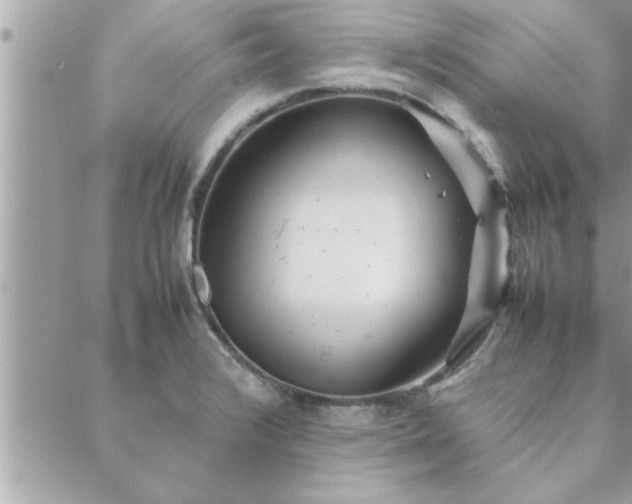 X0000088581376200706011102