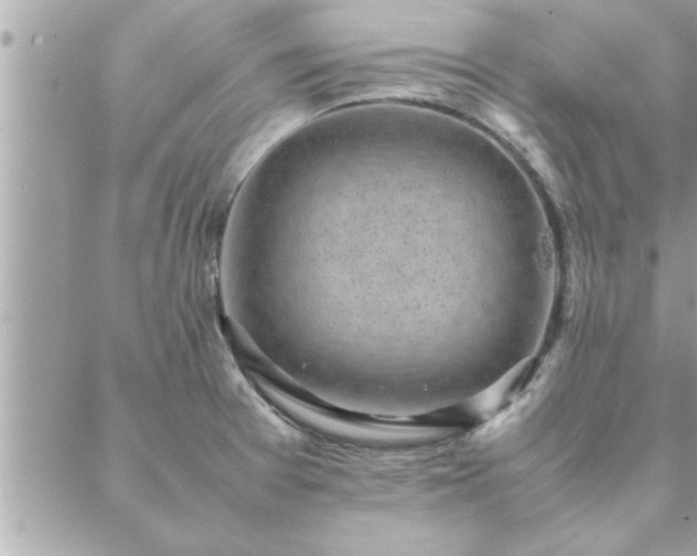 X0000088581377200706011102