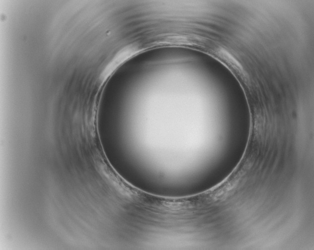 X0000088581378200706011102