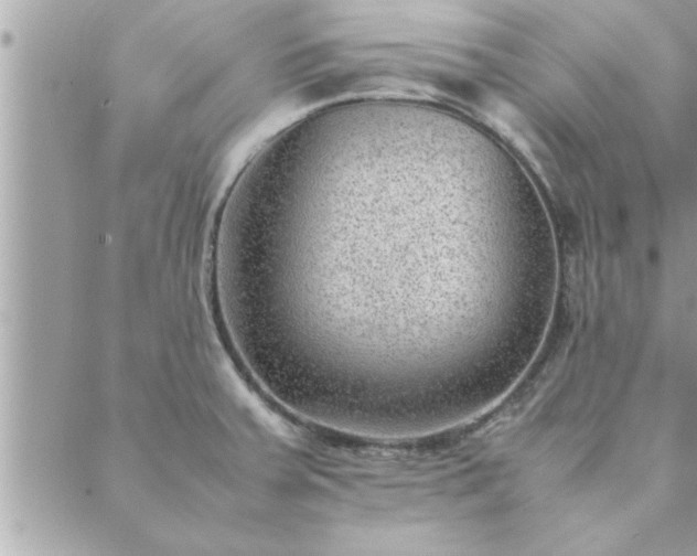 X0000088581379200706011102