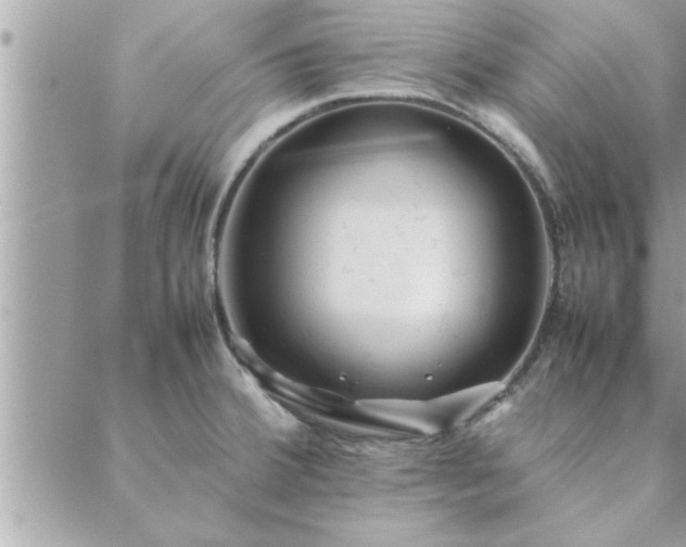 X0000088581380200706011102