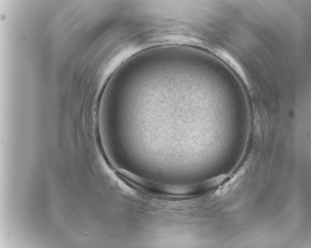 X0000088581381200706011102