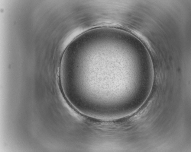 X0000088581383200706011102