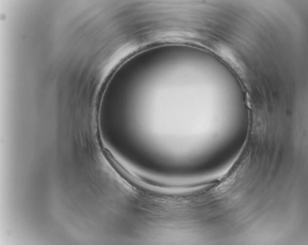 X0000088581384200706011102