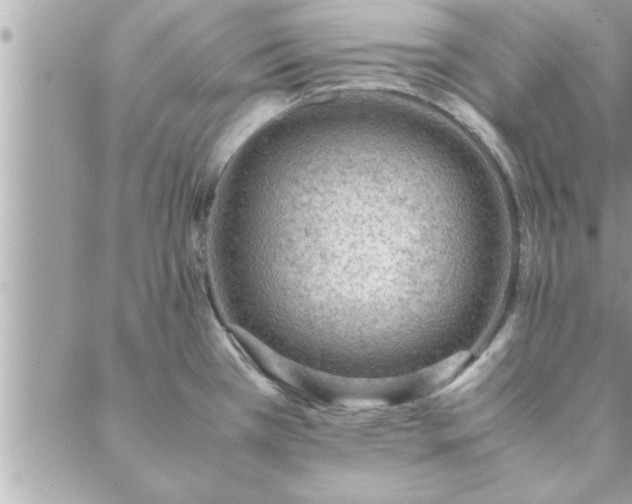 X0000088581385200706011102