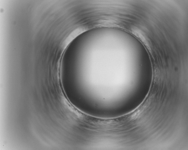 X0000088581386200706011102