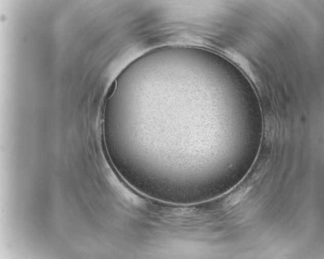 X0000088581387200706011102