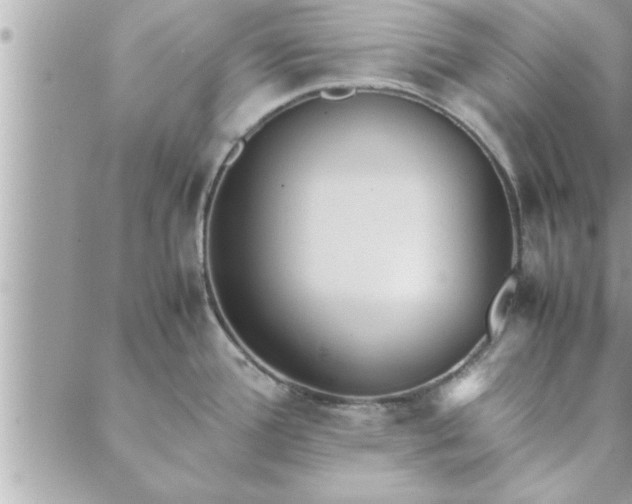 X0000088581388200706011102