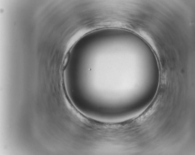 X0000088581389200706011102