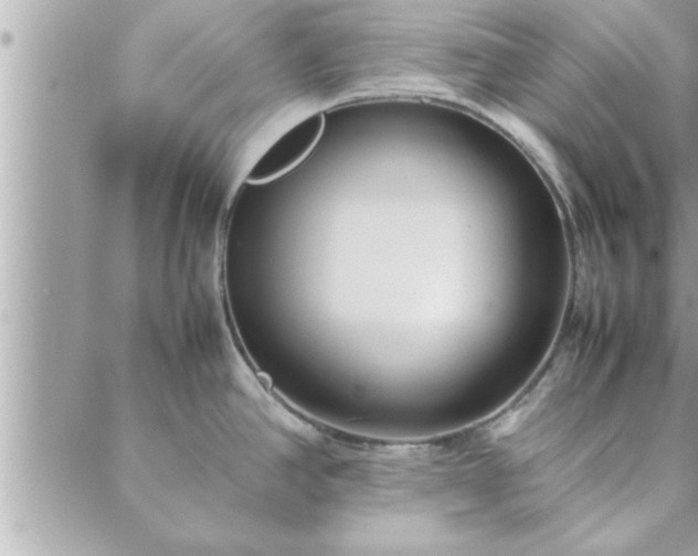 X0000088581390200706011102