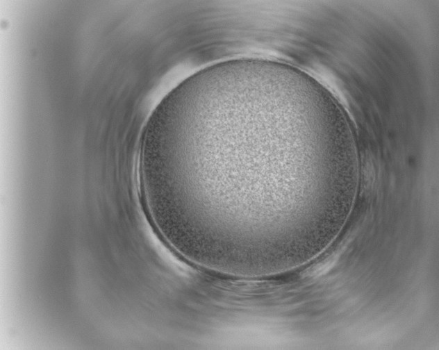 X0000088581391200706011102