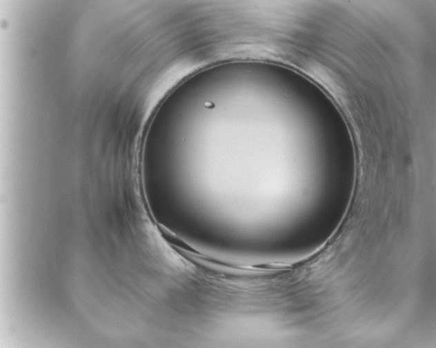 X0000088581392200706011102