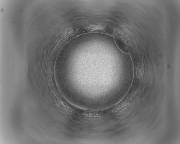 X0000088581393200706011101