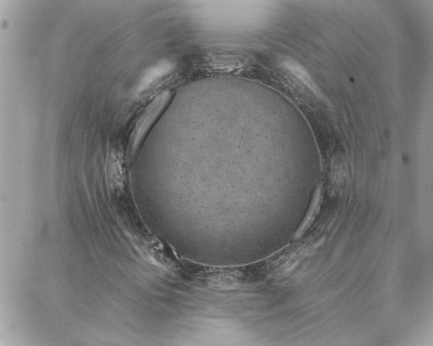 X0000088581394200706011101