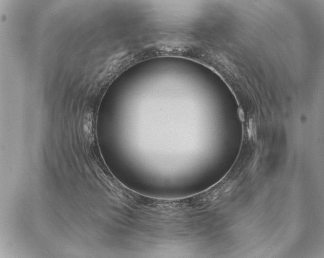 X0000088581396200706011101