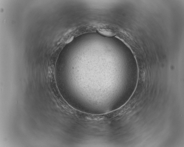 X0000088581397200706011101