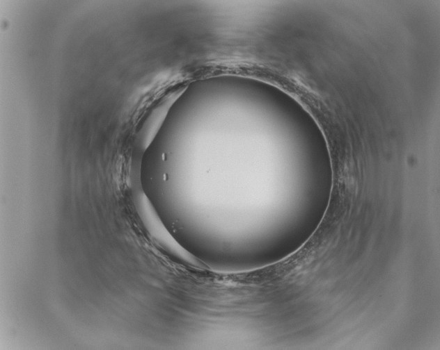 X0000088581398200706011101