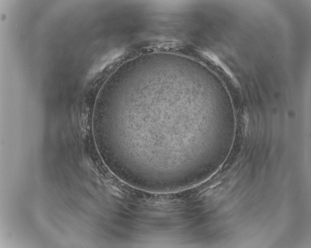 X0000088581399200706011101