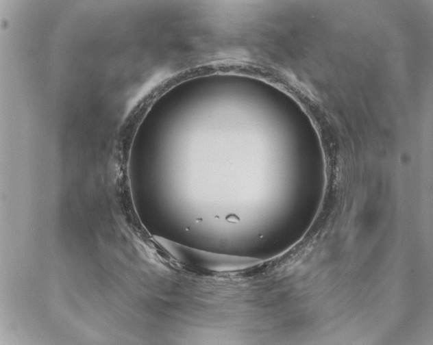 X0000088581400200706011101