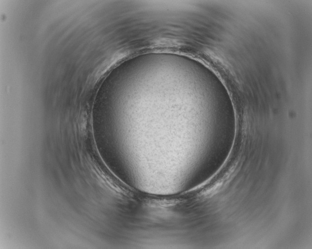 X0000088581401200706011101