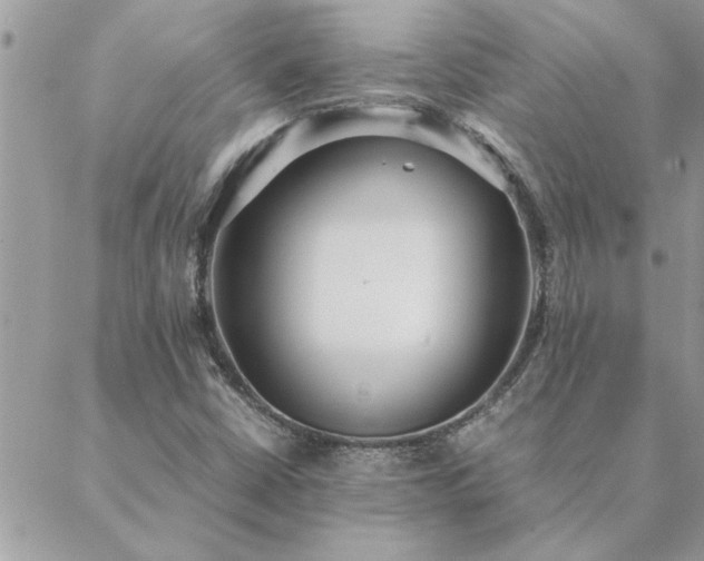 X0000088581402200706011101