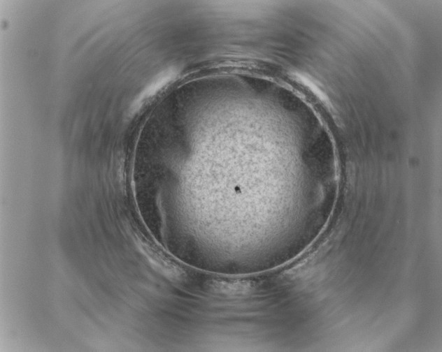 X0000088581403200706011101