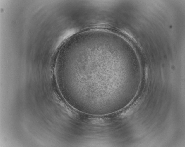 X0000088581405200706011101