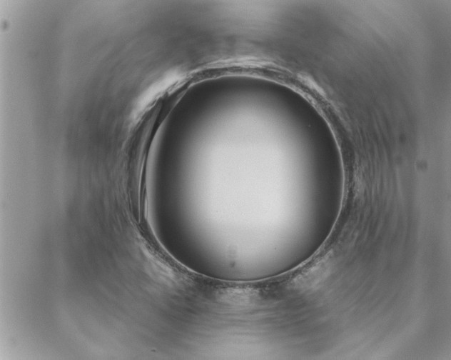 X0000088581406200706011101