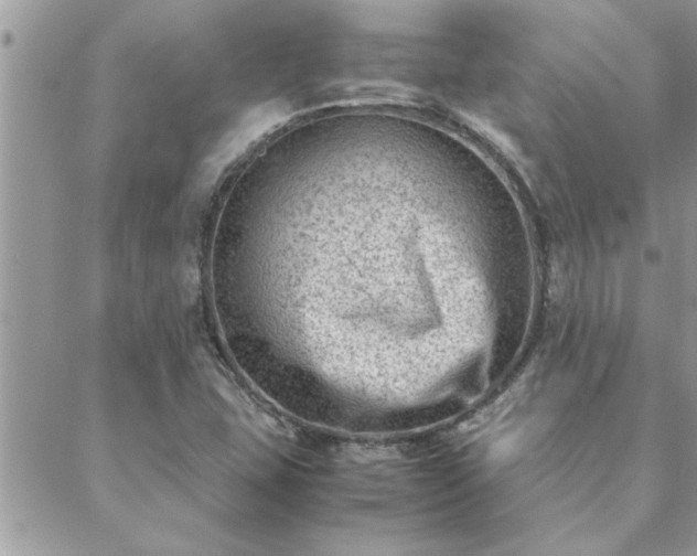 X0000088581407200706011101