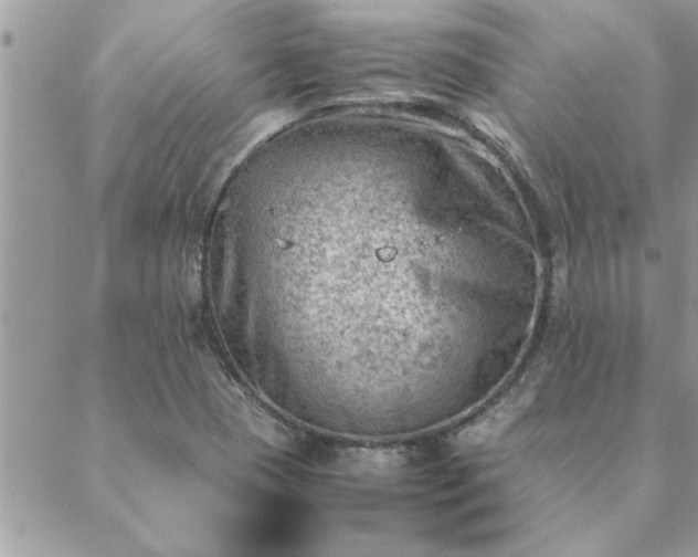 X0000088581409200706011101