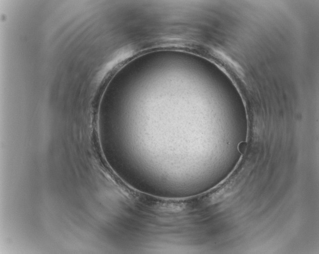 X0000088581411200706011101