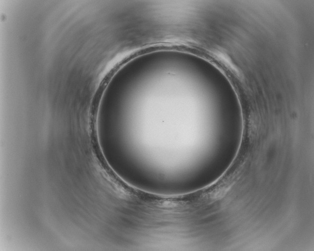 X0000088581412200706011101