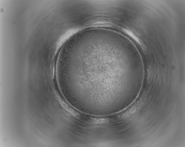 X0000088581413200706011101