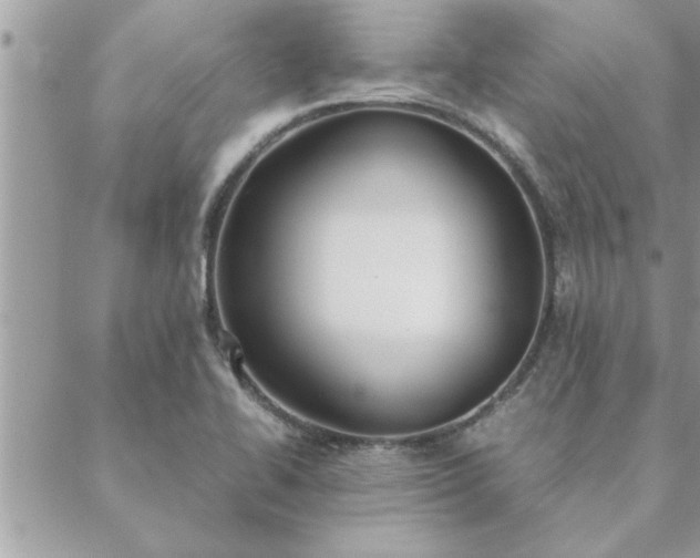 X0000088581414200706011101