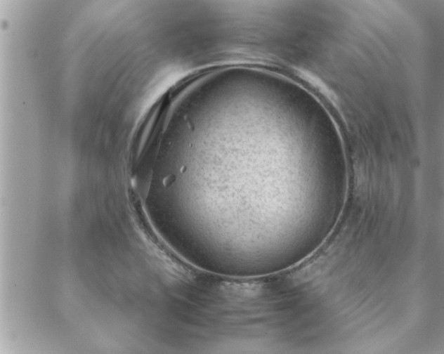 X0000088581415200706011101