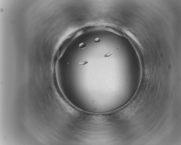 X0000088581416200706011101