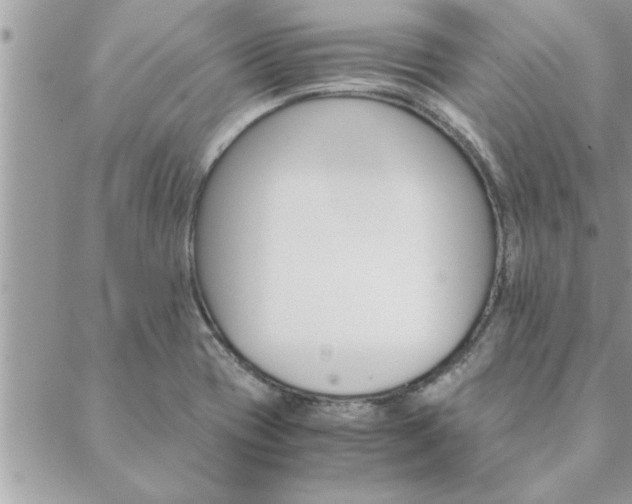 X0000088581417200706011101